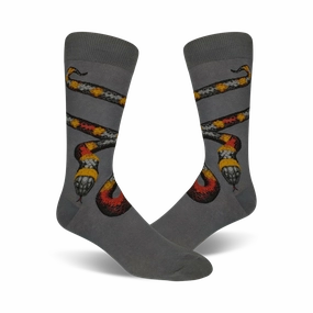 Coral Snake