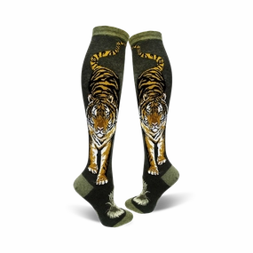 Fierce Tiger