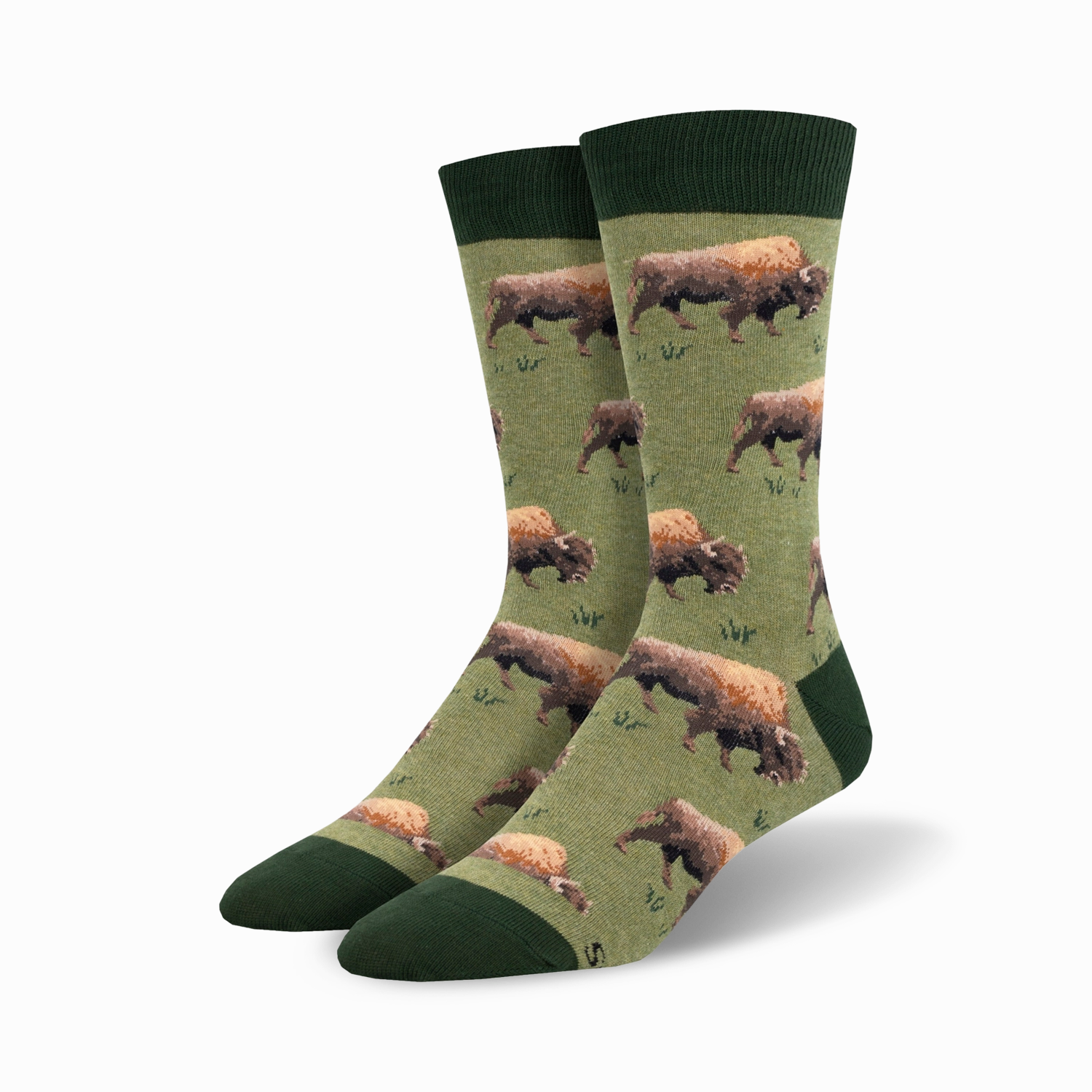 Grazing Bison