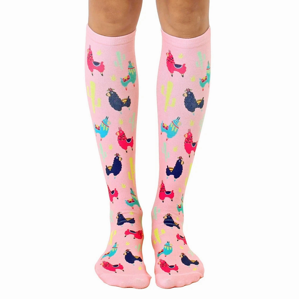 Llama