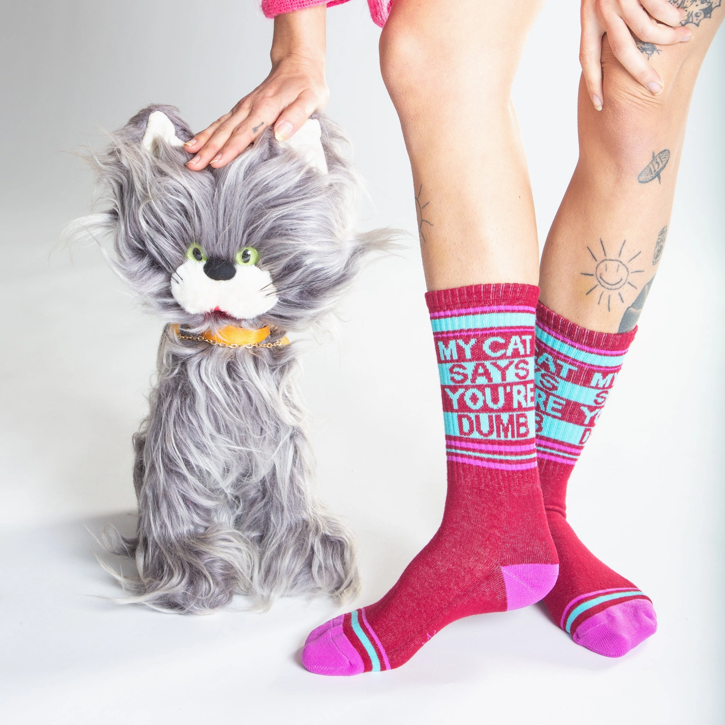 My Cat Says You're Dumb