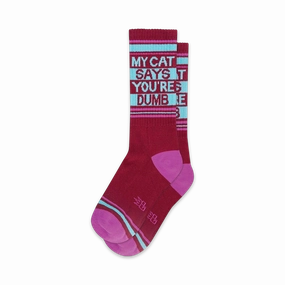 My Cat Says You're Dumb