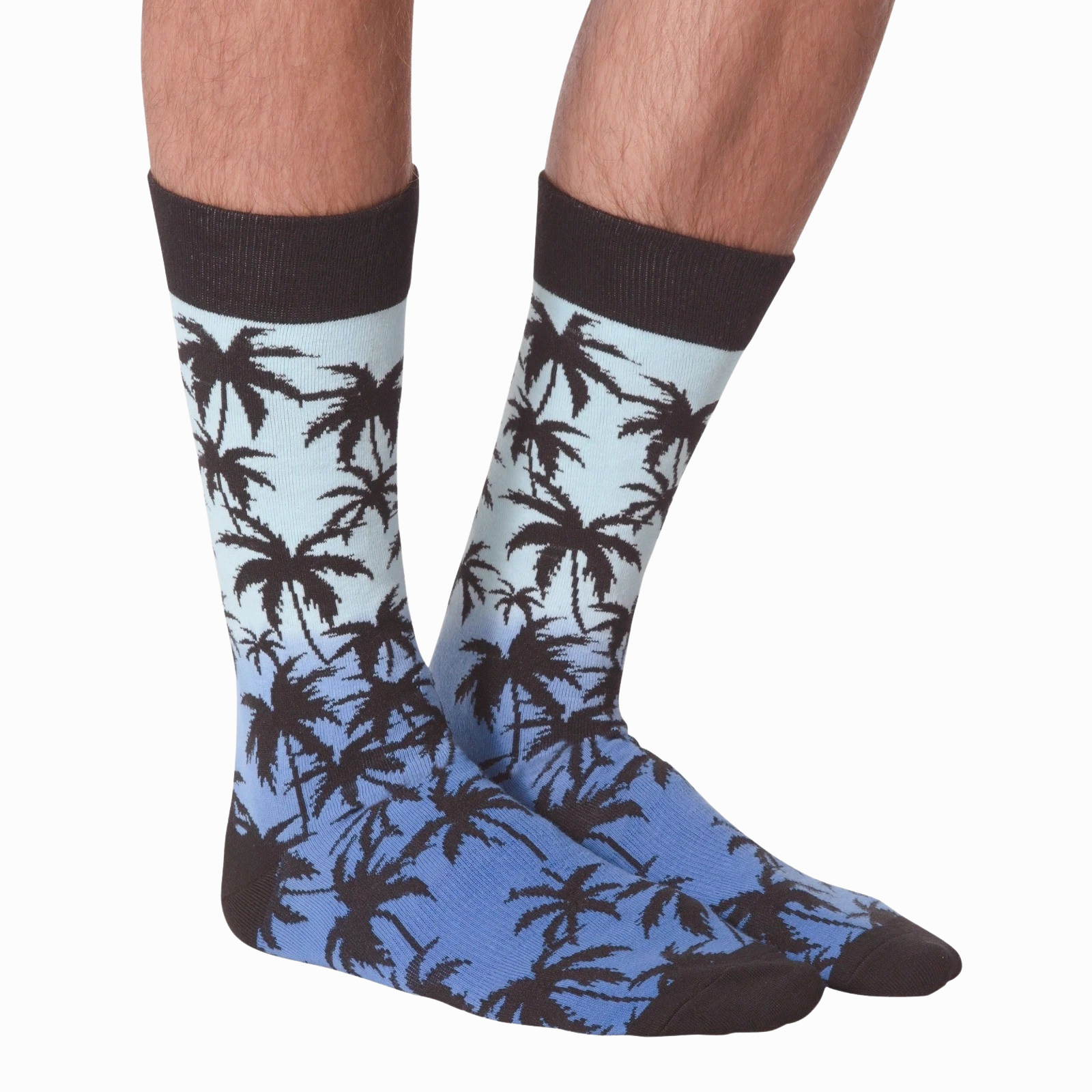 Palm