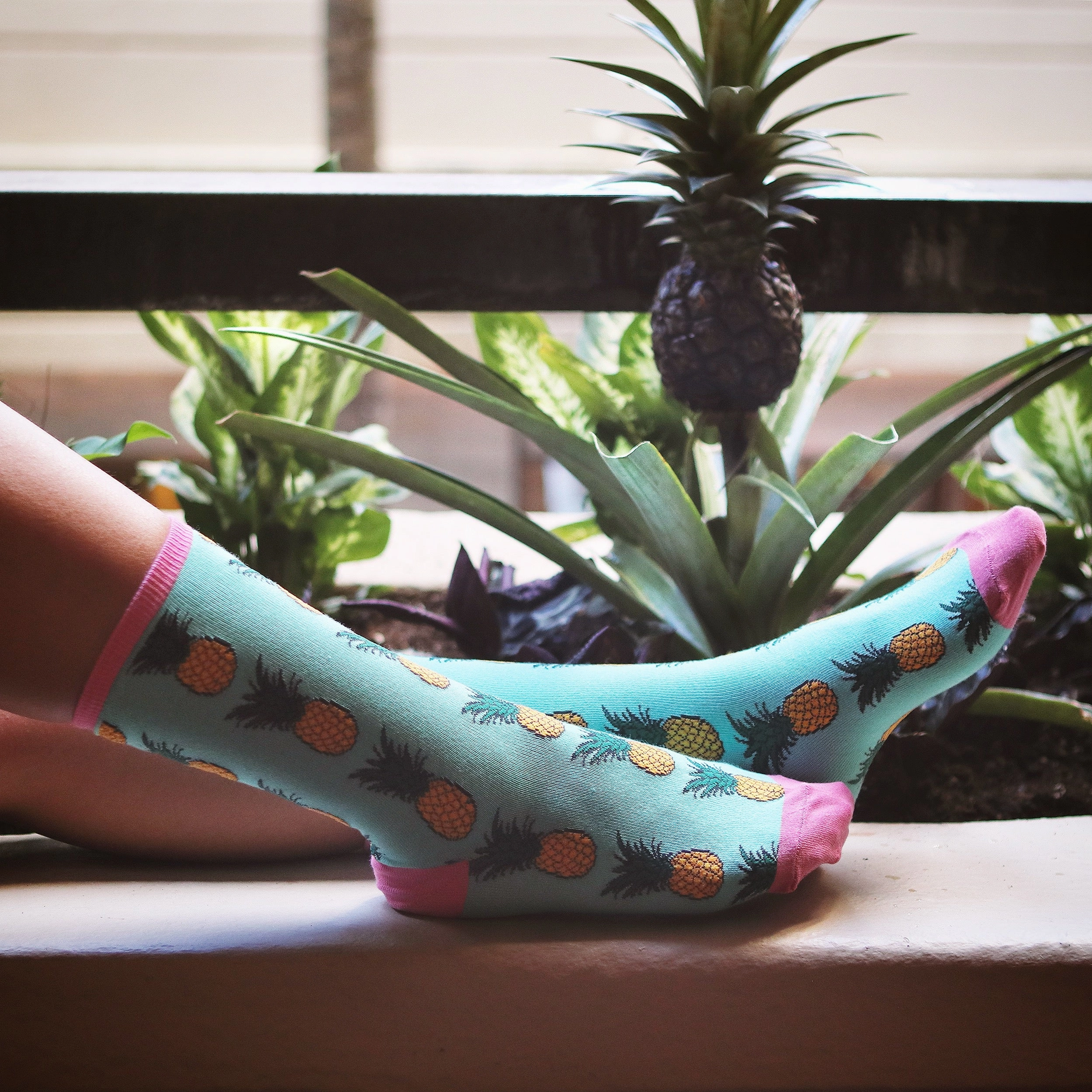 Pineapple