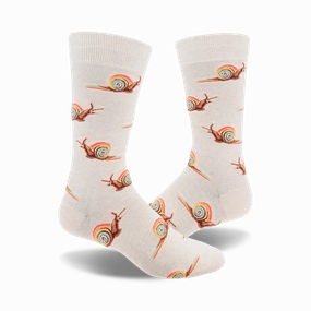 Rainbow Snail