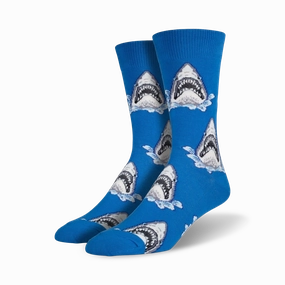 Shark Attack