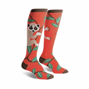 Slow Loris