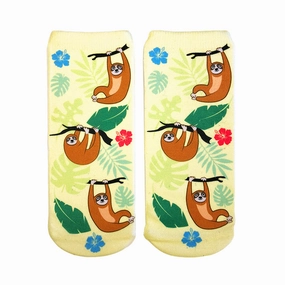 Tree Sloths