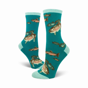 Trout Fishing
